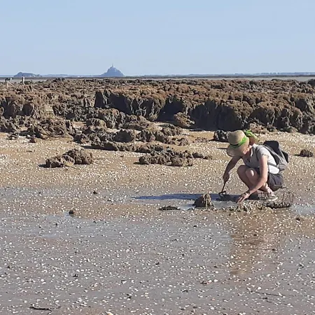 Gite/guest House Close To The Mont Saint Michel Dom wakacyjny
