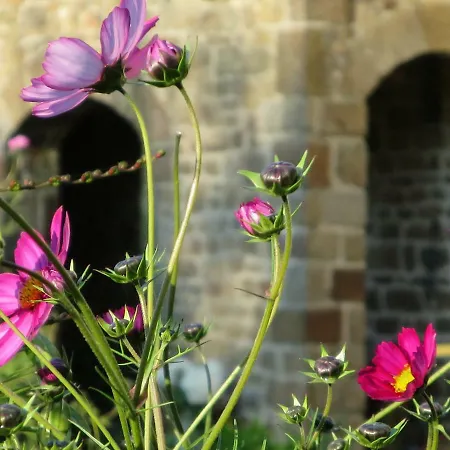 Gite/guest House Close To The Mont Saint Michel * La Rochelle-Normande