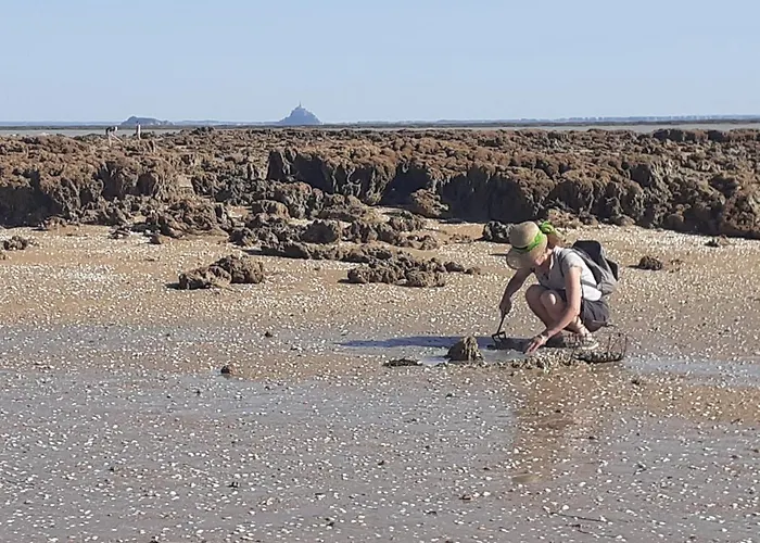 Gite/guest House Close To The Mont Saint Michel Feriehus