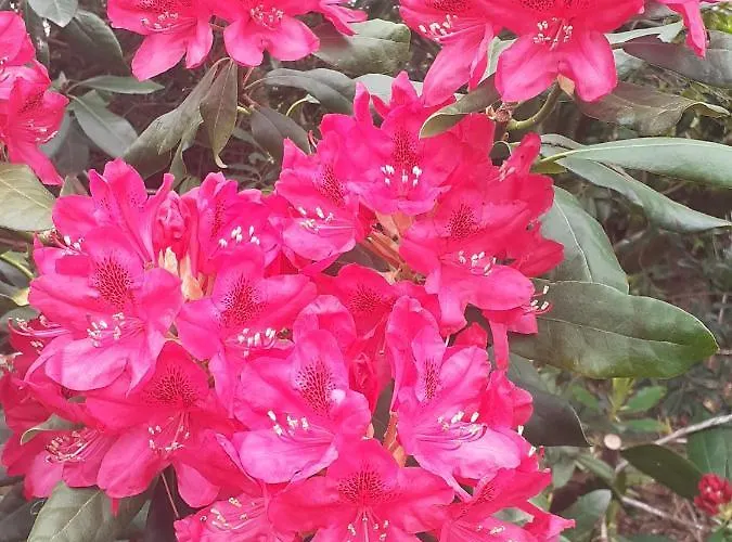 Gite/guest House Close To The Mont Saint Michel